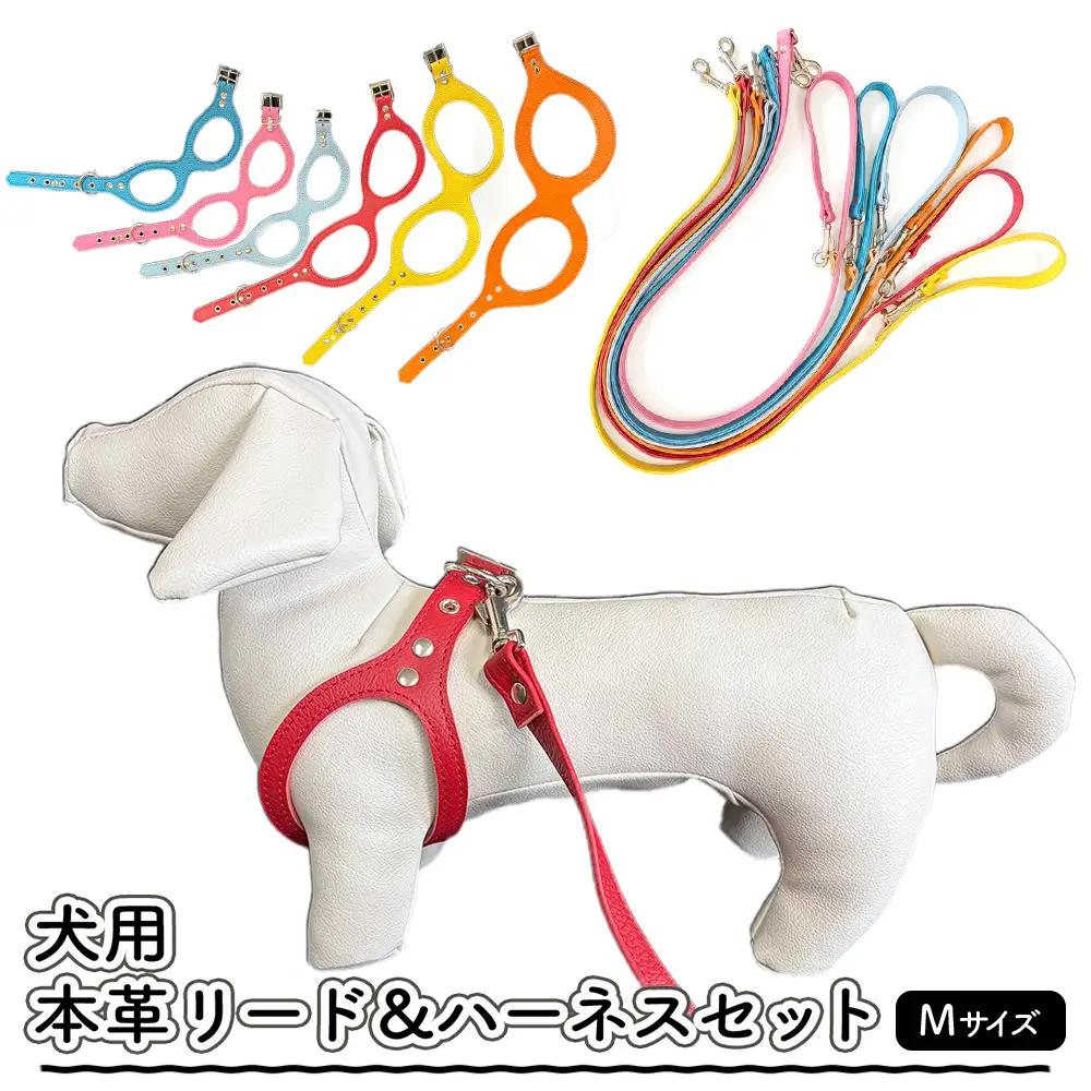 犬用・本革リード、ハーネスセット Mサイズ | リード ハーネス セット 犬 おしゃれ