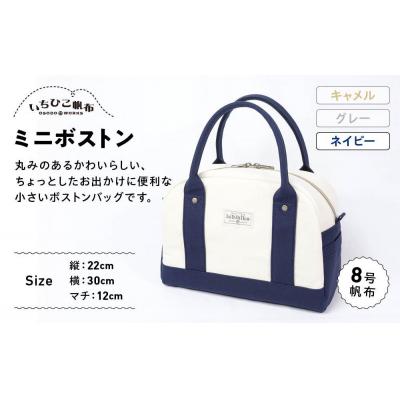 ふるさと納税 栃木市 【いちひこ帆布】 ミニボストン/ネイビー
