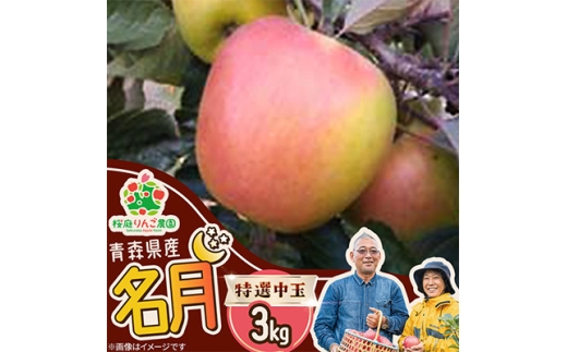 名月特選中玉3kg【1789803】