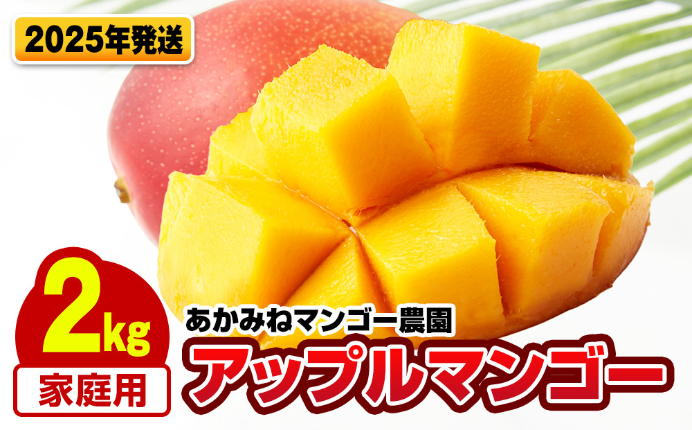 
            【2025年発送】あかみねマンゴー農園　家庭用アップルマンゴー2kg
          