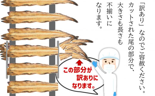 【復活!】 訳あり 蒲焼き 穴子 尾部 切り落とし 500g 冷凍 県産 訳アリ アナゴ 規格外 不揃い あなご 調理済み あたためるだけ レンジでチン レンチン 穴子丼 切落し 魚介類 海産 おつま
