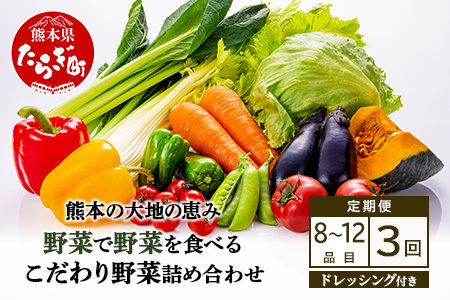 【定期便3回】熊本の大地の恵み≪ 野菜で野菜を食べる ≫ 旬のこだわり 野菜 ＆ドレッシング セット (3〜4名様向け) 野菜 獲れたて 8～12品 直送 旬 新鮮 定期便 野菜ドレッシング 詰め合わせ 詰合せ 熊本県 多良木町 024-0814