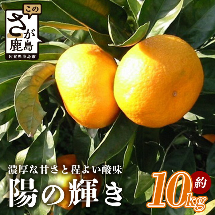 【ふるさと納税】みかん 約10kg 陽の輝き (ひのかがやき) | ふるさと納税 温州みかん フルーツ 果物 ミカン 蜜柑 柑橘 くだもの 果実 国産 佐賀県 鹿島市 ふるさと 人気 送料無料 【10月下旬〜12月頃発送予定】B-188