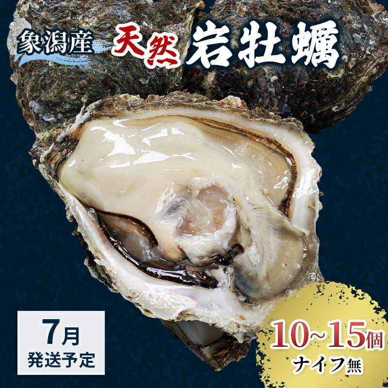 【ふるさと納税】【 先行予約 7月上旬～下旬発送予定】にかほ市産 岩牡蠣 10～15個 ナイフ無【 牡蠣 夏牡蠣 かき 象潟 魚介類 加熱用 海鮮 海産物 海の幸 】　お届け：2026年7月1日～2026年8月10日※状況によって希望通りお届けできない場合もあります。