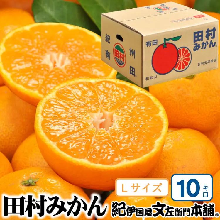 田村みかん 特選ギフト品 10kg【Lサイズ】赤秀/紀州和歌山有田郡湯浅町田村地区産 ◆2026年11月下旬～2027年1月中旬頃に順次発送予定(お届け日指定不可)　紀伊国屋文左衛門本舗【ntb302C】