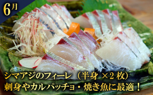 定期便 全6回 愛南の魚料理 クエ鍋セット タマクエ 鯛 タイ お造り 刺身 さしみ シマアジ フィーレ フィレ  鯛めし 丼 醤油 漬け カツ フライ ハラミ 唐揚げ カマ 焼き グリル 海鮮 魚介
