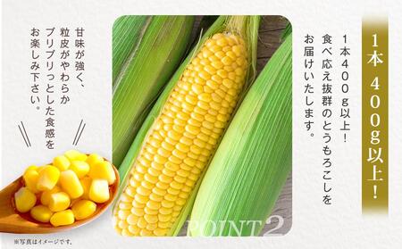 【先行予約】【数量限定】北海道産スイートコーン　１０本入　