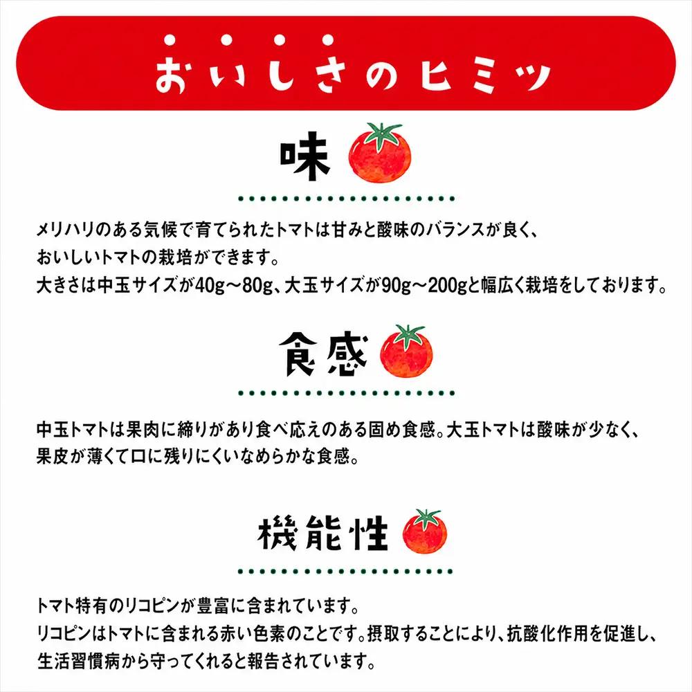 むつ市産　寅福菜園の「ミニトマト」4㎏