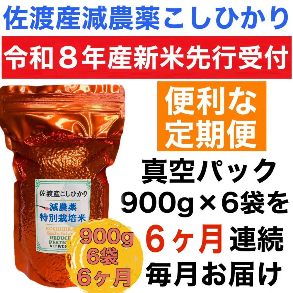 【先行予約 コシヒカリ】 白米 真空パック 定期便 900g 6袋 6回 令和8年 | 新潟県 佐渡市