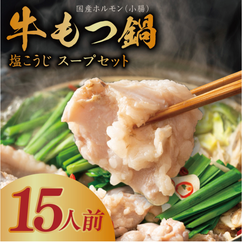 牛もつ鍋セット 15人前【国産 牛肉 ホルモン 塩こうじ スープ付き モツ 鍋 高評価 冷凍 鍋セット 簡単調理】 015B570