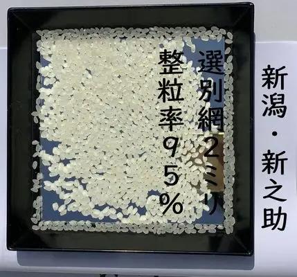 【令和8年産新米】 新潟県産「新之助」 白米 27kg（9kg×3袋） 家庭用クラフト袋入 阿賀野市産 中島農場 新潟県 精米 米 こめ コメ お米 ごはん ご飯 農家直送 色彩選別済 新米 新米予約
