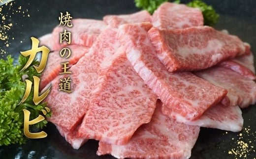 神戸牛カルビ焼肉200g×10 計2kgセット 冷凍 【令和9年2月お届け予定】 最短翌日～4営業日以内発送 神戸牛 和牛 国産 牛肉 カルビ 焼肉 大人気 人気 ふるさと納税 返礼品 おすすめ ラン