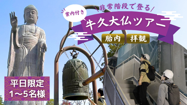 
《 案内付き 》 非常階段で登る 牛久大仏 胎内 拝観 ツアー ※ 平日限定 ※ （ 5名様まで ） 貸切 体験 参加券 体験チケット 観光
