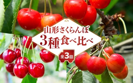 山形さくらんぼ ３種食べ比べ定期便【定期便全３回】 【063-T04】
