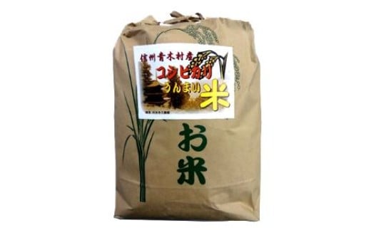 
            【令和７年産】青木村産お米コシヒカリ
          