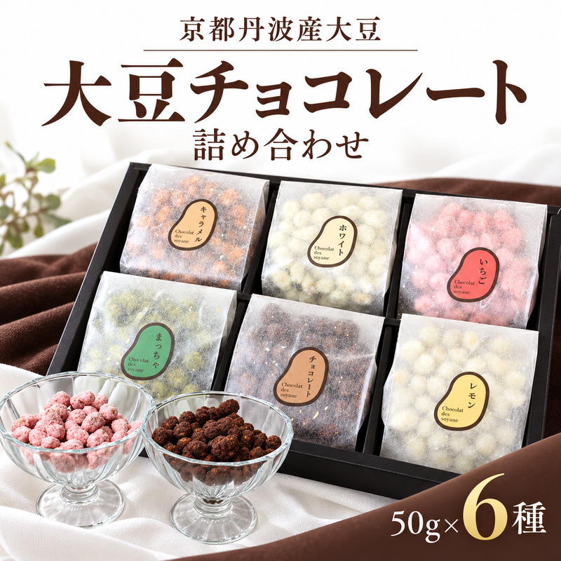 京都丹波産大豆 チョコレート 詰め合わせセット 50g×6種　チョコレート 丹波産 大豆 詰め合わせ セット 食べ比べ お菓子 スイーツ おやつ チョコレート菓子 贈り物 ギフト ご褒美 京都府 南丹市