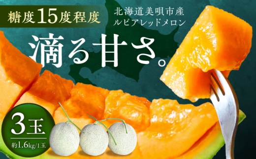 【2026年7月～順次発送】 赤肉 メロン ルピアレッド 3玉 | 赤肉メロン めろん 先行予約 北海道 メロン赤肉 【沖縄本島・離島 発送不可】| JAみねのぶ [BOAG008]