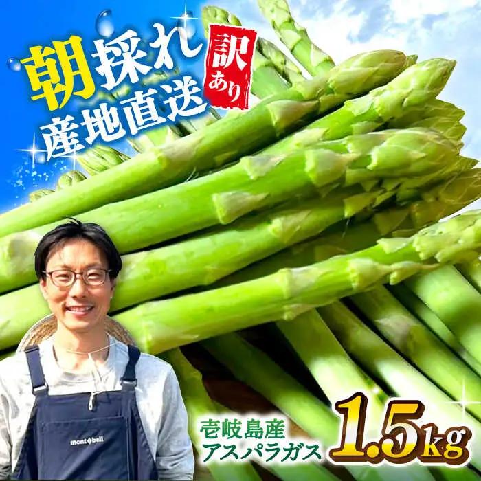 【先行予約】訳あり アスパラガス1.5kg [JGI005] アスパラ 野菜