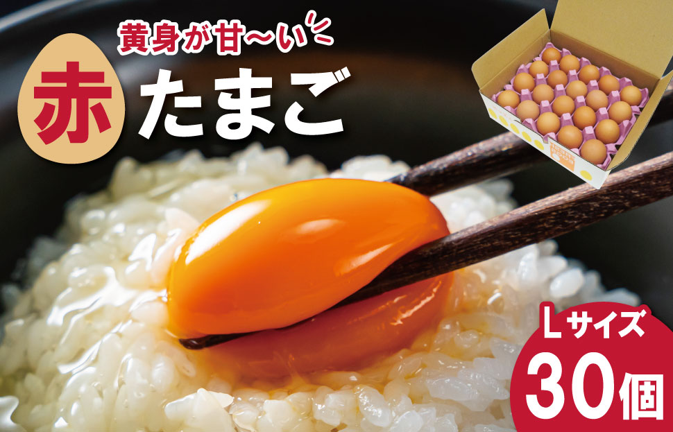新鮮たまご 赤玉 Lサイズ 30個 明和町 中村養鶏場 卵 たまご 生卵 生たまご 鶏卵 国産 濃厚 ny2