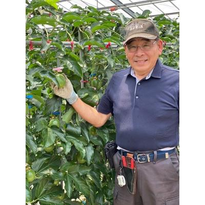 ふるさと納税 宮崎市 8年かけて誕生した宮崎県産パッションフルーツ　M　2kg |  | 02