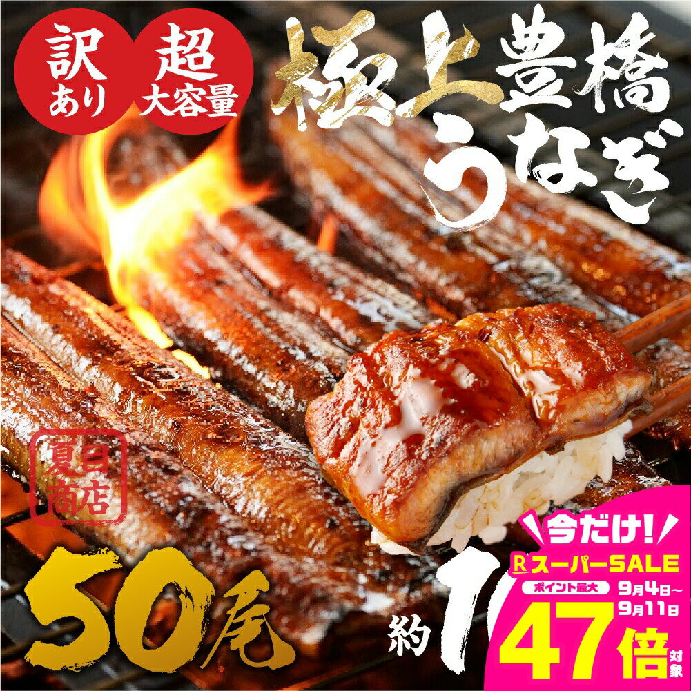 【ふるさと納税】 極上 豊橋うなぎ 蒲焼 50尾 約10kg 厳選 国産 鰻 簡易包装 訳あり ウナギ うなぎ 鰻 蒲焼 夏目商店 ギフト 配布 最高級 ひつまぶし 土用丑の日 ギフト 冷凍 増量 丑の日 簡単調理 父の日 こだわり 人気 豊橋うなぎ unagi お取り寄せ 送料無料 愛知県 豊橋市