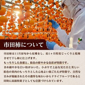 【ワインのおつまみにもオススメ】市田柿フロマージュ　100g×3個【配送不可地域：離島】【1033714】