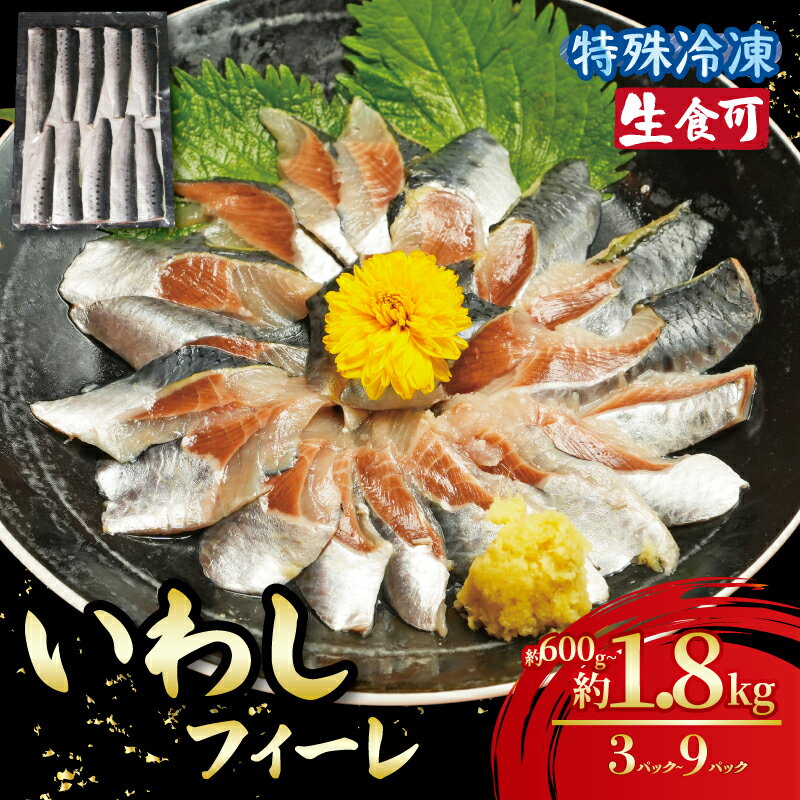 【ふるさと納税】 冷凍 いわし フィーレ 3パック〜9パック 鰯 フィレ 急速冷凍 刺し身 刺身 魚 海鮮 おかず おつまみ 弁当 塩 魚介 食品 グルメ 贈答 贈り物 プレゼント ギフト お取り寄せ ふるさと納税 ふるさと納税イワシ 冷凍 11000円 送料無料 千葉県 銚子市 飯田水産