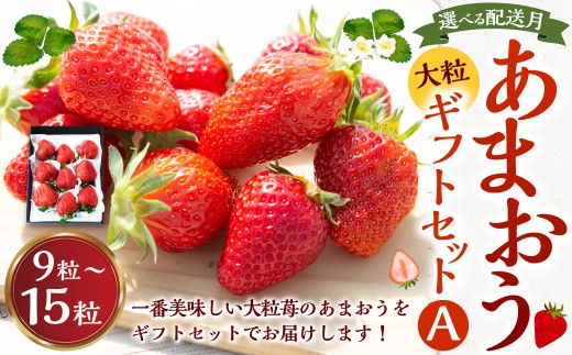 よかもんいちご あまおう大粒苺のギフトセットA 【2026年4月 発送予定】 あまおう いちご イチゴ 苺 よかもん苺 朝摘み 穫れたて 果物 くだもの フルーツ デザート 福岡県 うきは市
