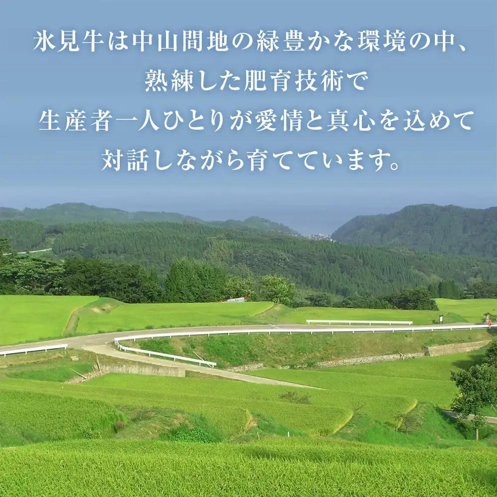 氷見牛入りハンバーグ（3個入り）<冷凍>  富山県 氷見市 ハンバーグ 惣菜 ギフト