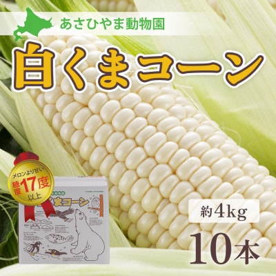 2025年8月より発送　あさひやま動物園白くまコーン4kg　旭山動物園監修箱入り_00308【配送不可地域：離島】【1156857】