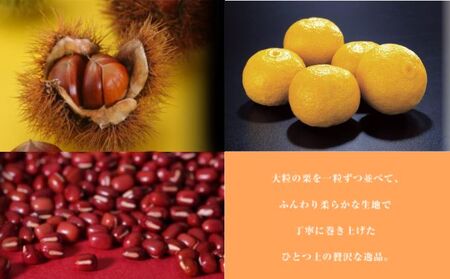 御栗タルト1本入り ハタダ 畑田本舗 タルト 栗タルト 伝統の味 四国銘菓 