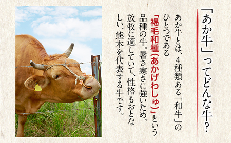 くまもとあか牛 すき焼き用 400g 長洲501《60日以内に出荷予定(土日祝除く)》熊本県 長洲町 すき焼き すきやき 牛肉 肉 あか牛 赤牛