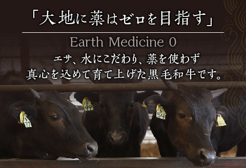 宮崎県産黒毛和牛100％グリルハンバーグ1.5kg
