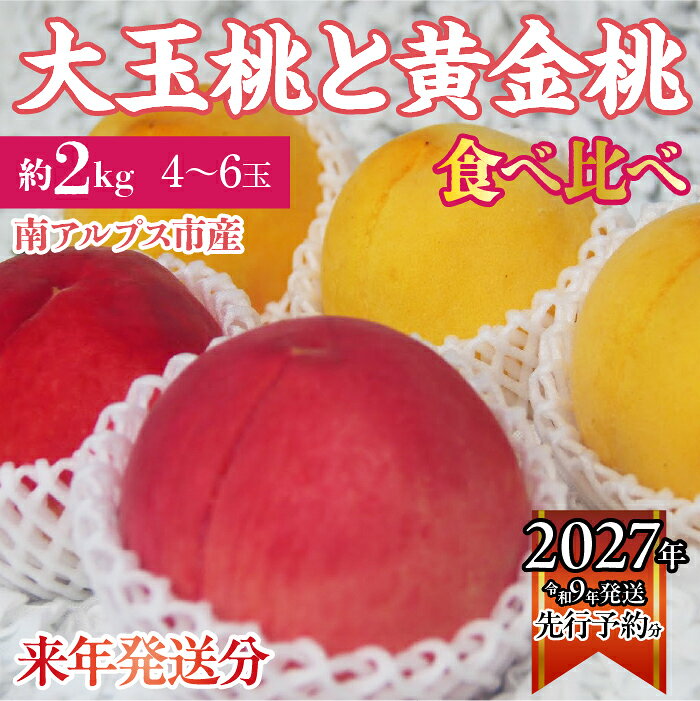 【ふるさと納税】＜2027年発送先行予約＞ 南アルプス市産　大玉の桃と黄金桃の食べ比べセット　約2kg（4〜6玉） ふるさと納税 おすすめ 山梨県 南アルプス市 送料無料 ALPDD015