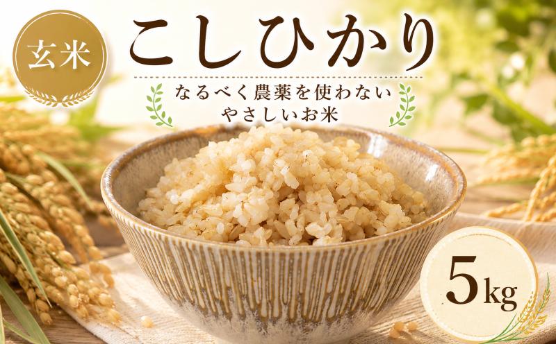 
                  米 コシヒカリ 玄米 5kg やさしいお米 お米 こしひかり okome げんまい ゲンマイ おこめ こめ コメ ご飯 未精米 国産 茨城県 鉾田市 合同会社はぐくみのもり
                