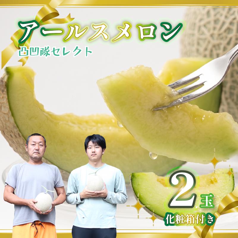 
                  【期間限定 国産 2玉】アールスメロン 2玉 3L 温室育ち ジューシー 甘い 高級品 ブランド のし対応 果物 めろん フルーツ デザート ふるーつ くだもの あーるすめろん 温室メロン マスクメロン 父の日 母の日 お祝い 贈答用 お中元 プレゼント ギフト 箱付き 産地直送 静岡メロン  おすすめ 国産 美味しい 牧之原市 静岡県 牧之原 加藤ファーム 一般社団法人 0548プロジェクト
                