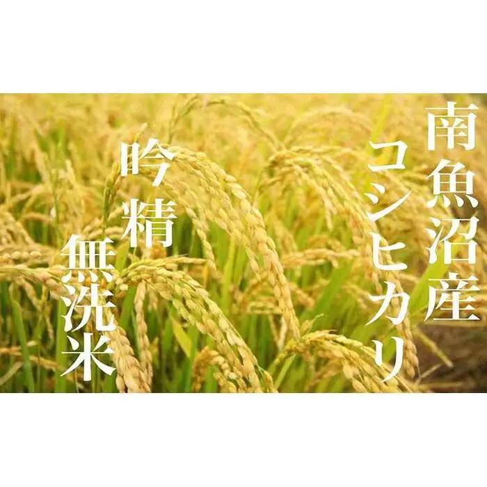 【令和7年産】【頒布会10Kg×全9回】無洗米 吟精 南魚沼産コシヒカリ【定期便 銘柄米 ブランド米 無洗米 こしひかり コシヒカリ 魚沼産 新潟米 産地直送 お米 米 こめ コメ ご飯 御飯 ごはん