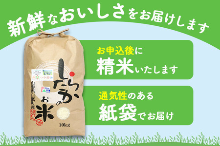 【白米】つや姫 10kg（特別栽培米）令和5年産 山形県産 しらたかのお米