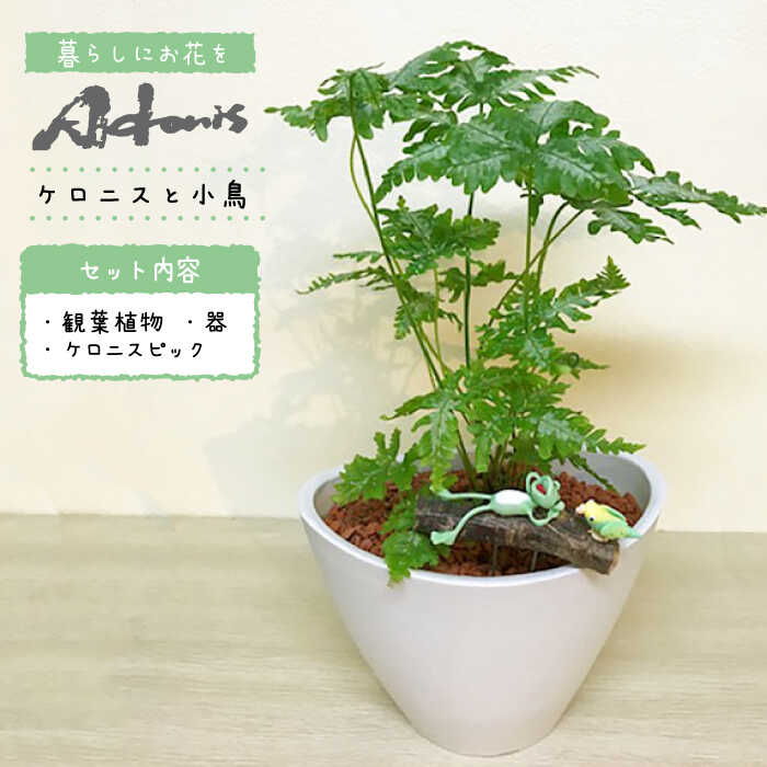 【ふるさと納税】【暮らしにお花を】観葉植物付 森の中のケロニスと小鳥＜フラワーデザイン アドニス＞那珂川市 | [GBN001] 観葉植物 20000 20000円 2万円 以下