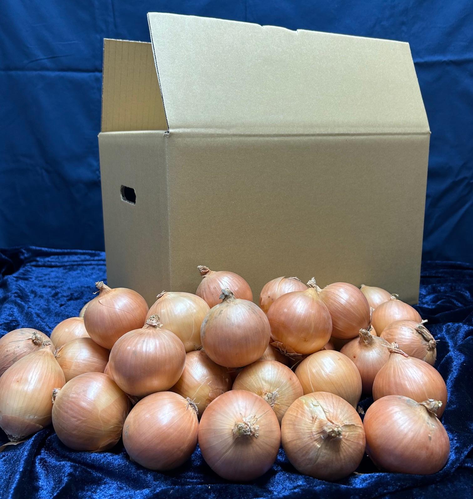 【数量限定訳あり品】玉ねぎＳサイズ・10kg（2026年2月から順次発送） BHRG147