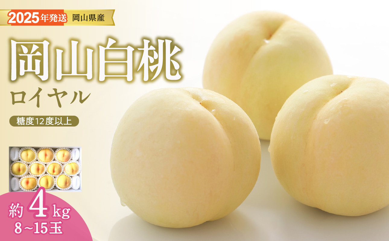 【2025年発送分 先行受付スタート】岡山県産 白桃 最高ランク！ロイヤル約4kg 8～15玉（令和７年7月以降発送）
