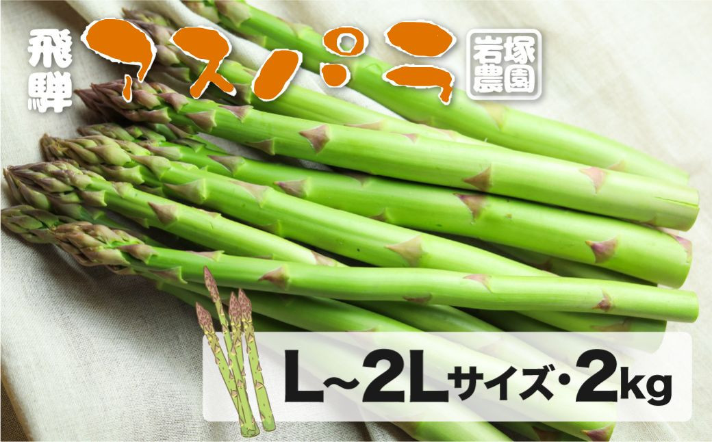 
            《先行予約》飛騨産 アスパラガス（2025年5月上旬〜8月末発送） L 〜 2L サイズ 2kg 岩塚農園 アスパラ 太い 旬 春 夏 野菜 BBQ 飛騨 やさい 24000円 syun70
          