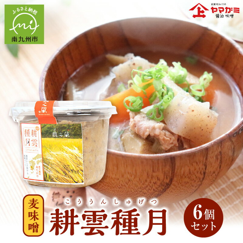 【ふるさと納税】ヤマガミ「耕雲種月」味噌6個セット ギフト のし対応 味噌汁 食品 お取り寄せ 南九州市産 大麦 鹿児島県 南九州市 送料無料