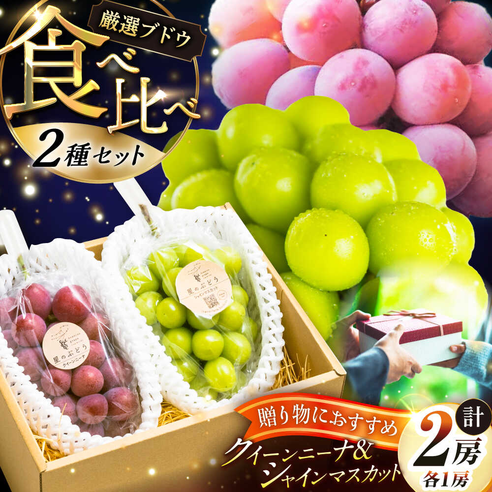 【ふるさと納税】【先行予約：2026年8月中旬より発送】【贈答用】人気の2品種を食べ比べ！シャインマスカット 1房 クイーンニーナ 1房（約1kg）秀品・化粧箱入り 島根県雲南市/ギアファーム[AIAB012]