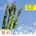 【ふるさと納税】先行予約2025年発送予定【のららぼ農園】農家直送！新鮮！夏獲れ太（L〜2L）アスパラ※2025年7月上旬〜9月上旬発送予定