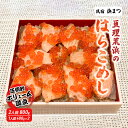 【ふるさと納税】亘理荒浜のはらこめし2人前（400g×2）　 加工食品 惣菜 和食 魚介 ボリューム満点 鮭のはらこめし 和食 ご飯もの お祝い おもてなし