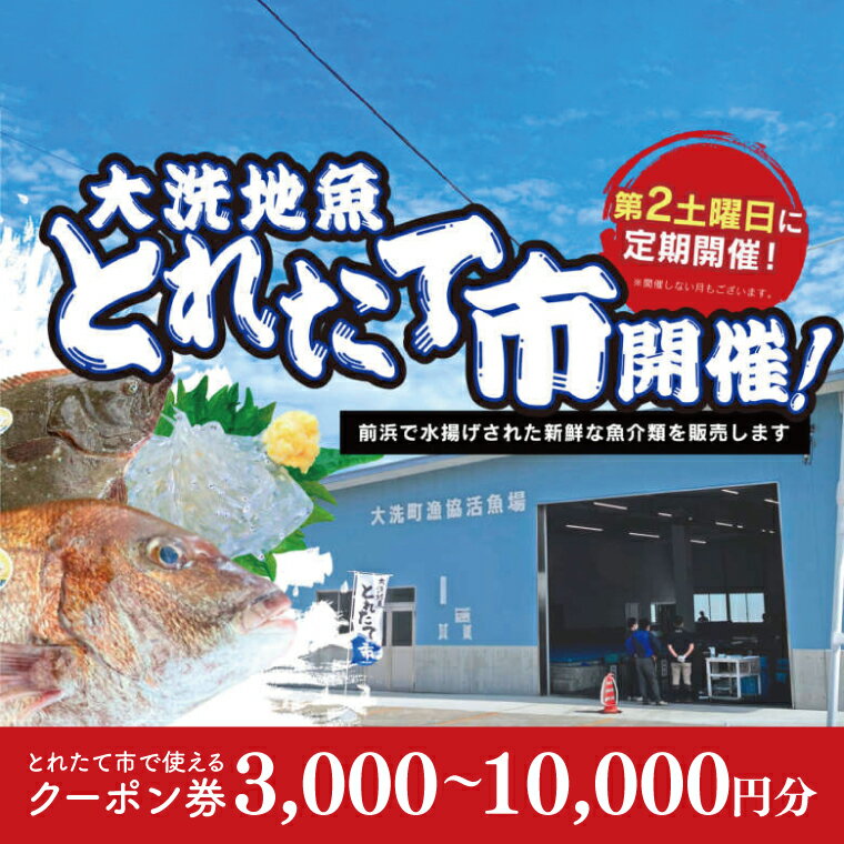 【ふるさと納税】大洗地魚とれたて市クーポン券 3,000～10,000円分 (1,000円分×3～10枚) 地魚 鮮魚 活魚 朝獲れ 魚介類 漁協 大洗産 大洗 チケット