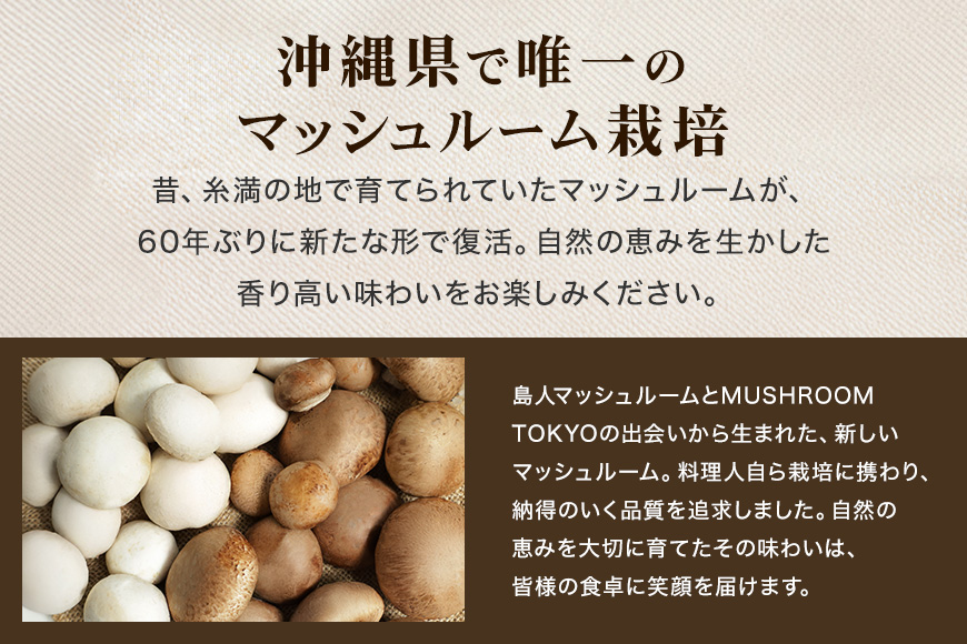 島人マッシュルームセット（ジャンボ×1・ホワイト・ブラウン各100gセット）   