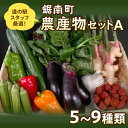 【ふるさと納税】道の駅保田小学校スタッフ厳選！鋸南町農産物セットA ／ やさい 季節野菜 千葉県 特産品 F22X-029