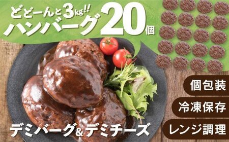 AB417.累計４０万個突破記念！どーんと3㎏!デミ＆カレーハンバーグセット【150g×20個】